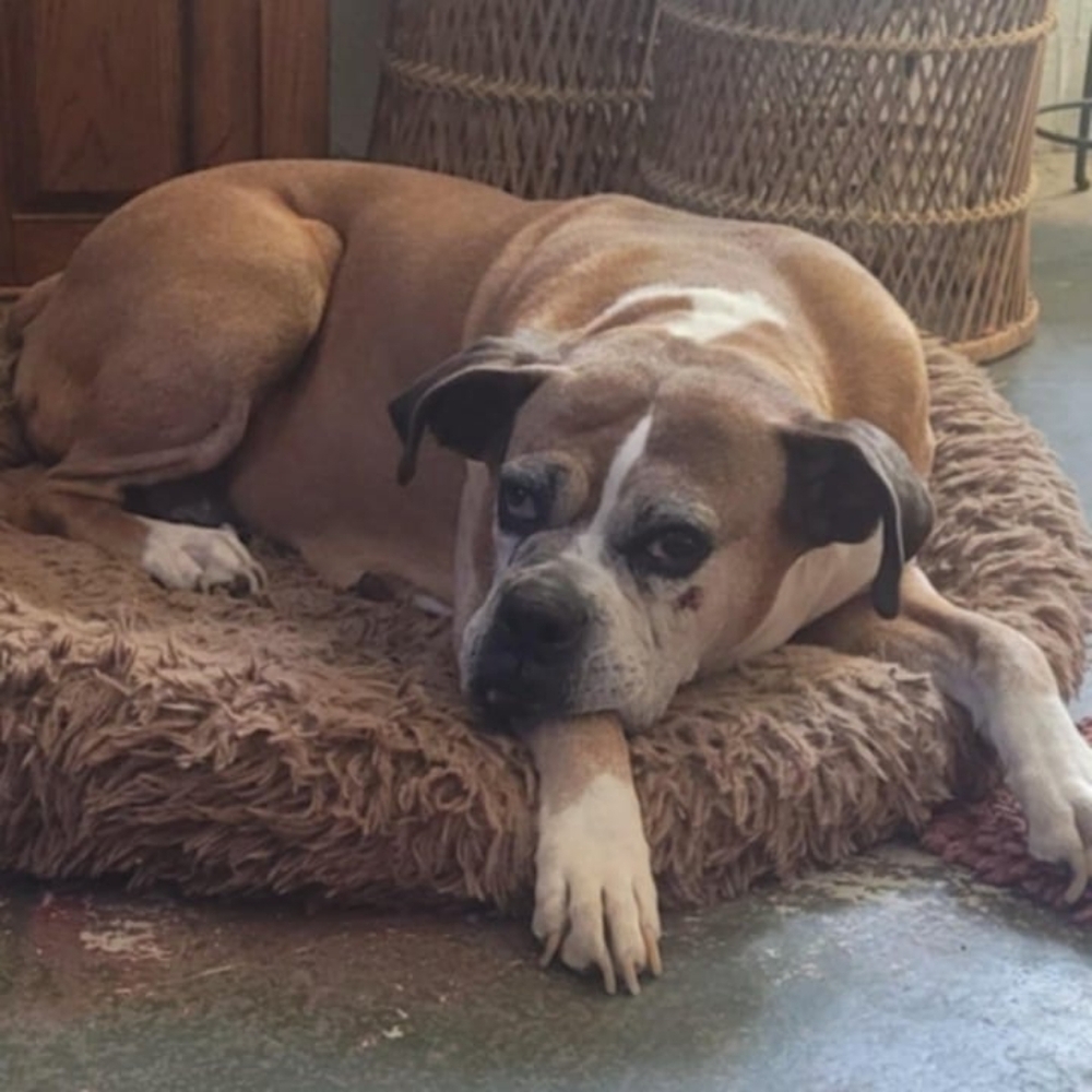 Meet your Posher, Debra